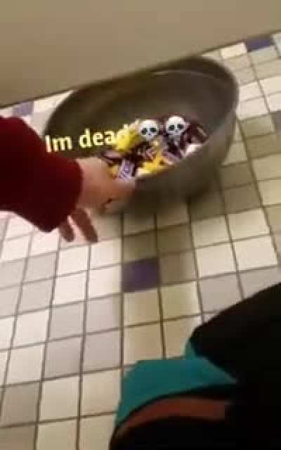 literally shitpost