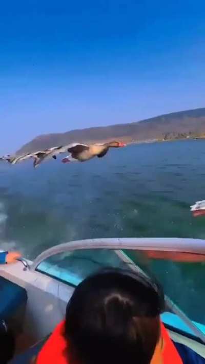 Fly smarter
