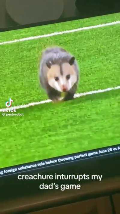 Lil buddy just wanted his 15 minutes!