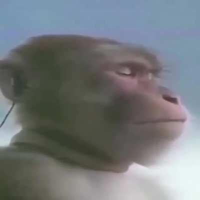 So I couldn't sleep at 3am because a friend sent me this and couldn't find the cover of the song