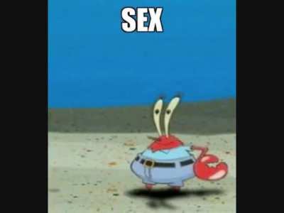 sexo