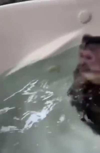 This monkey definitely seems to enjoy his new bath toys 😂🙊