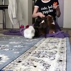 It’s chow time!