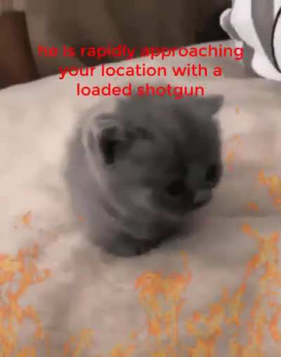 RrrrRrrun!