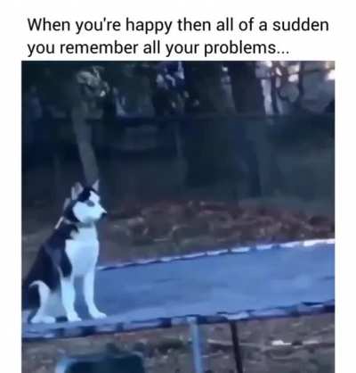 me_irl