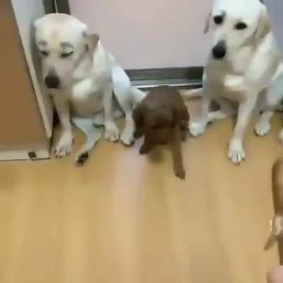 Maybe maybe maybe