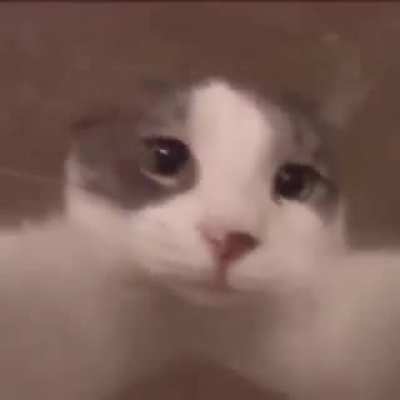 <3