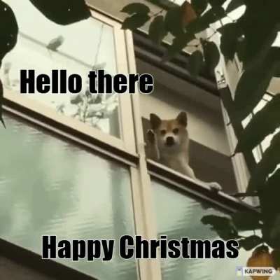 Look it's a GIF