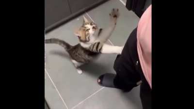çok güzel şaplatıyor la
