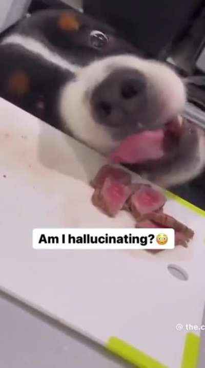 Just gave up