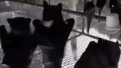 WHOA! HEY! DON'T TOUCH ME!