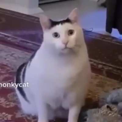 He knows something