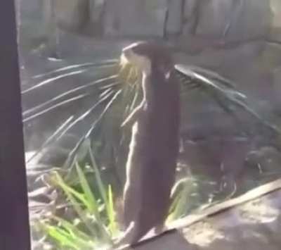 Look at him go