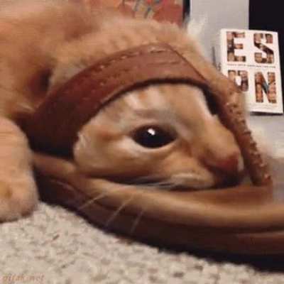 hmmm
