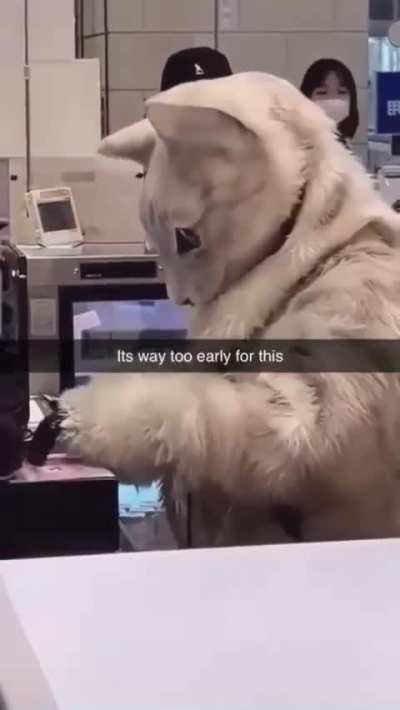 Working Wunkus