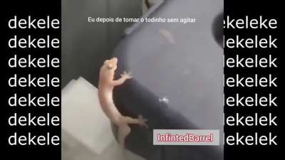 Épico D+