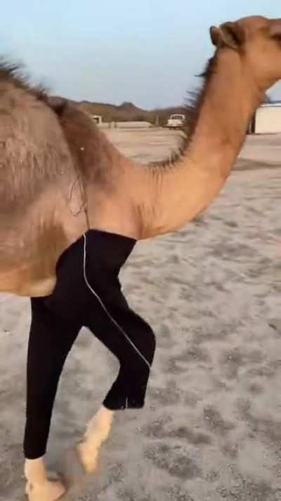 Going for a run