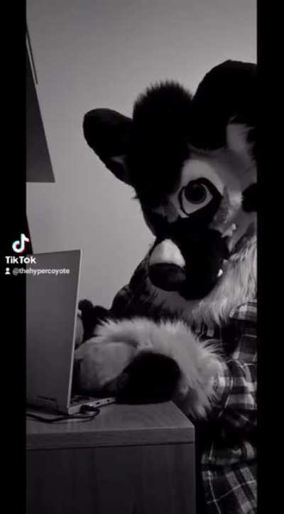 furry_irl