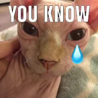 Normal edit
