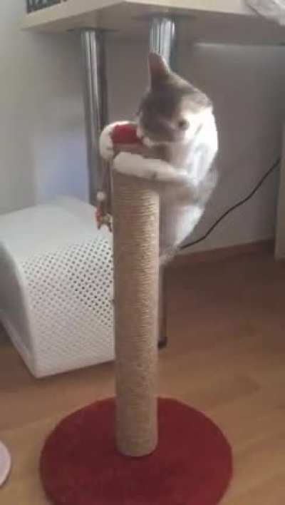 Pole dancer
