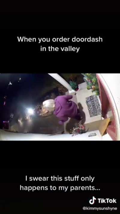 Thief Panda