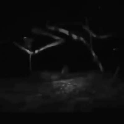 Cursed_Cryptids