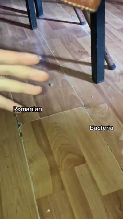 This is my social experiment, with help 800.000 Fps camera, i was able to catch robmanian act in wild