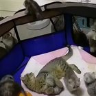 a mother’s instinct