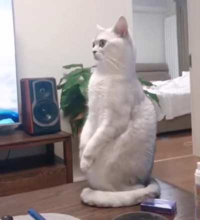 Karen why you make me watch that shit ?