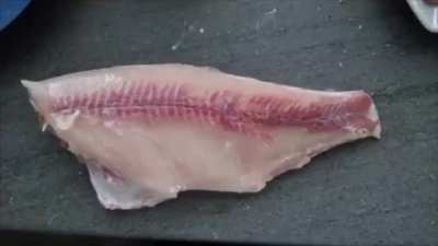 Dead meat still moving compilation