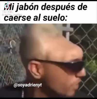 Xd