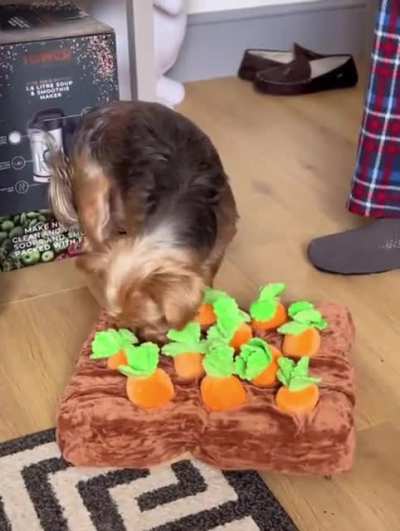 Sharing is caring