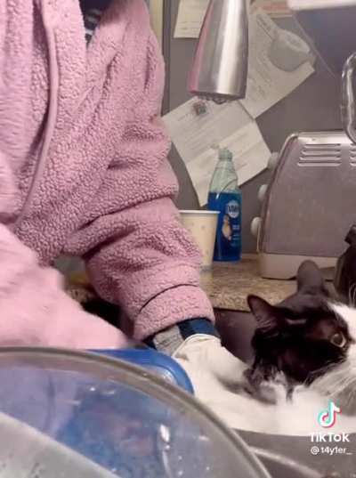 Bath time