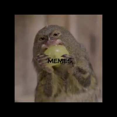 Mon'Keigh like Meme