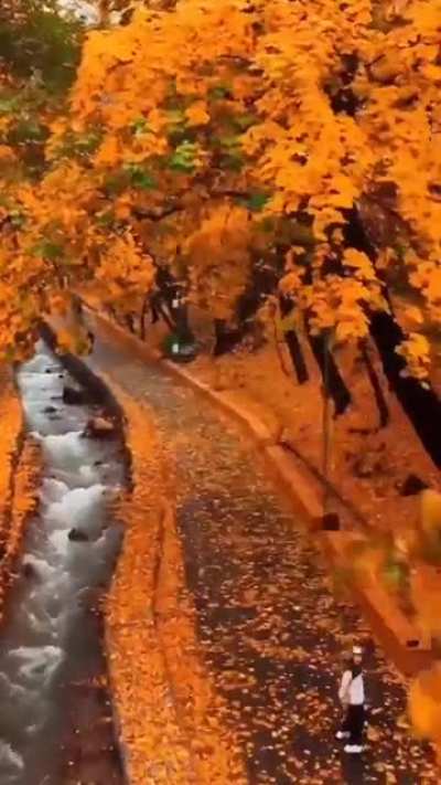 Autumn in Almaty, Kazakhstan