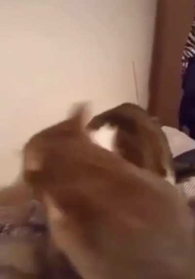 AHHHHHHHHH