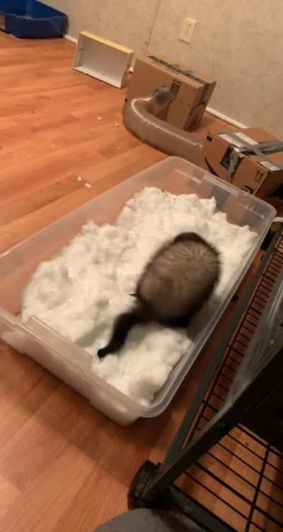 Snow day = fun day!