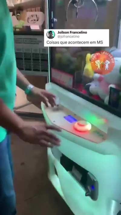 Alô r/bichinhos 