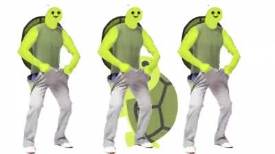 🐢 (créditos: stickfab)