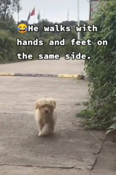 Hes unique