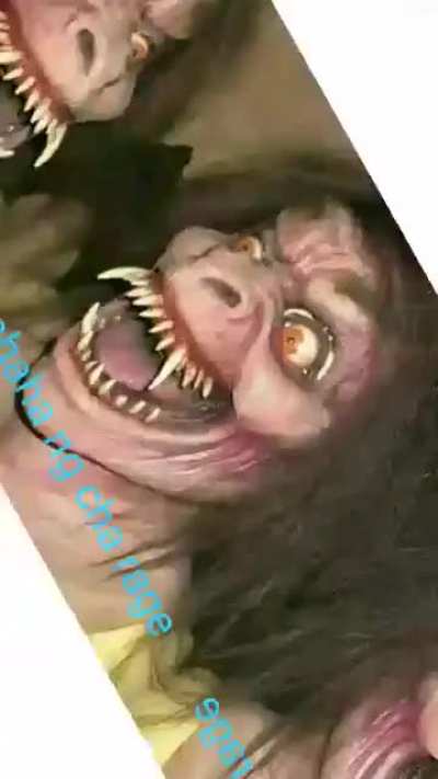 Boo 👻