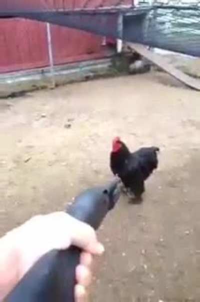 4086