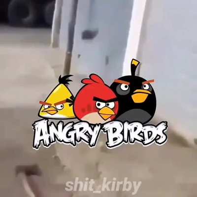 Dogla quero meu mod