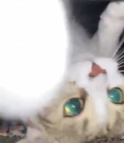 Gravity does not compute...