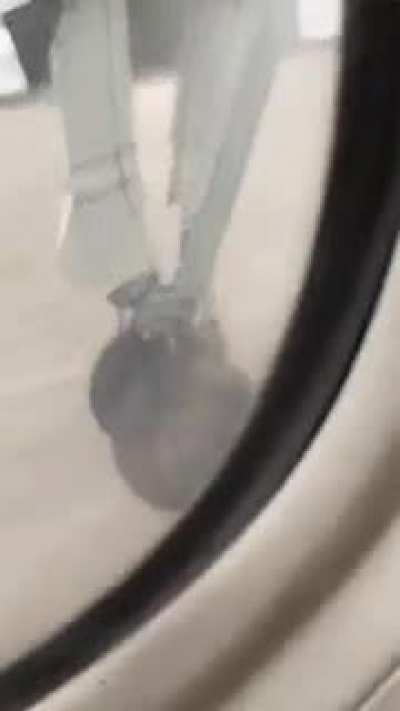 WTF! Prepare for a bumpy landing.