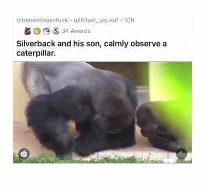 quality father son time