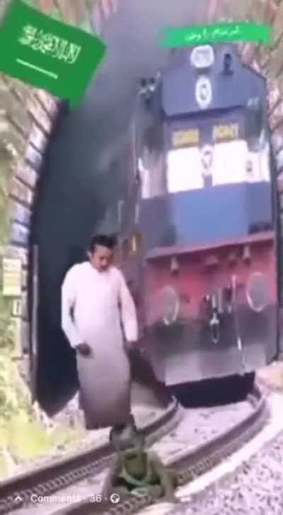 Least exaggerating arabian