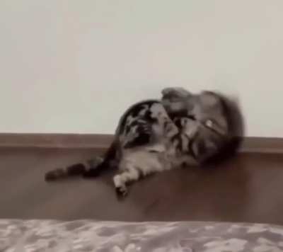 Ambushed