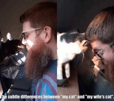 Gotta love the little furballs