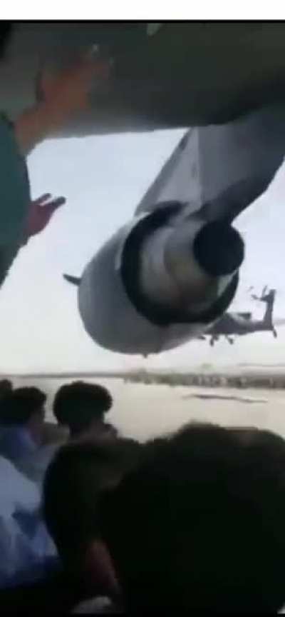 This is unique footage. Look how happy they are.